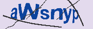 Ungültiger Sicherheitscode